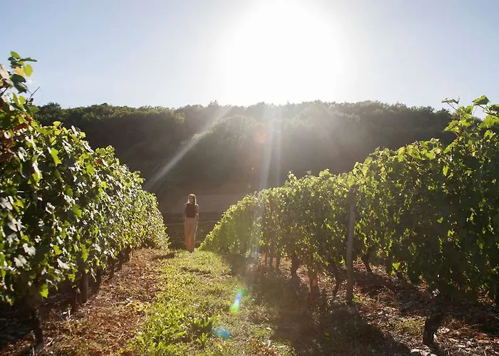 Ogangers Sud Bagatelle Hotel Les Ponts-de-Cé